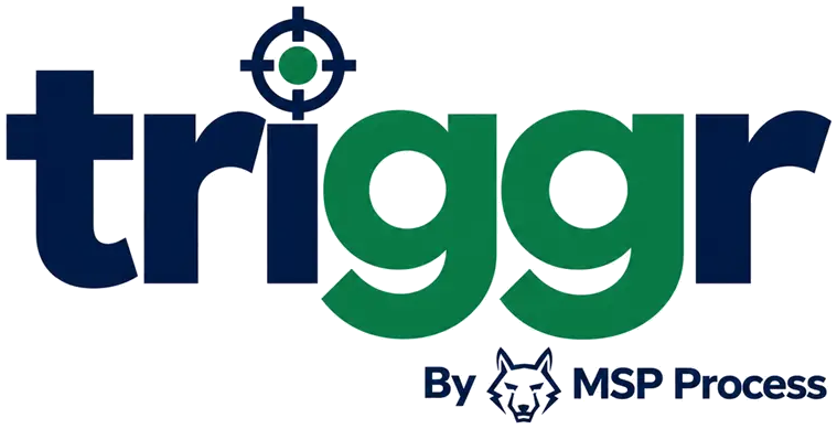 Triggr by MSP Process
